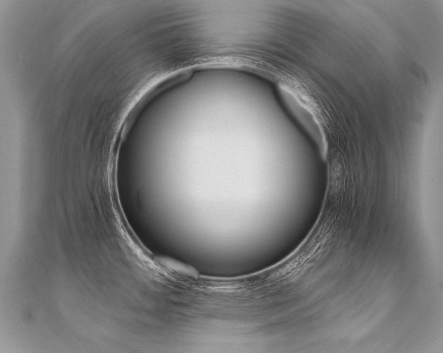 X0000110691484200906121045
