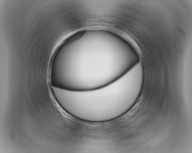 X0000110691485200906121045