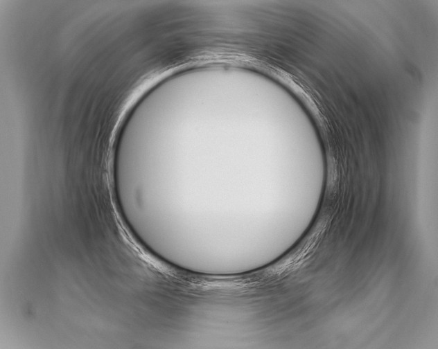 X0000110691486200906121045