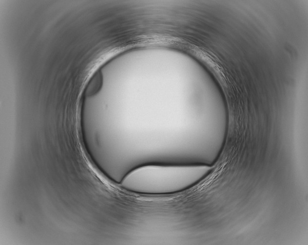 X0000110691487200906121045