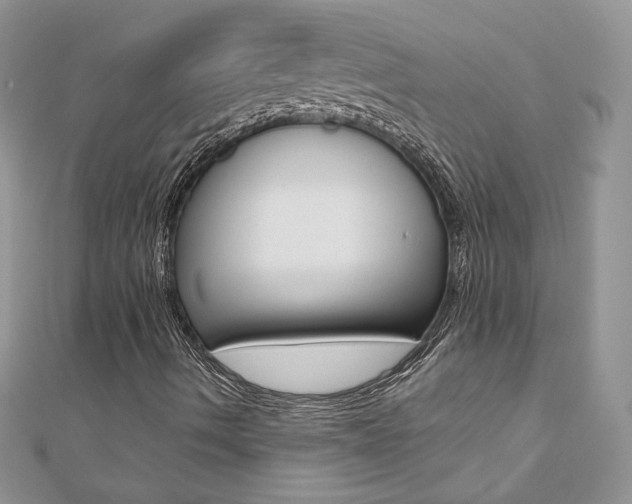 X0000110691490200906121044