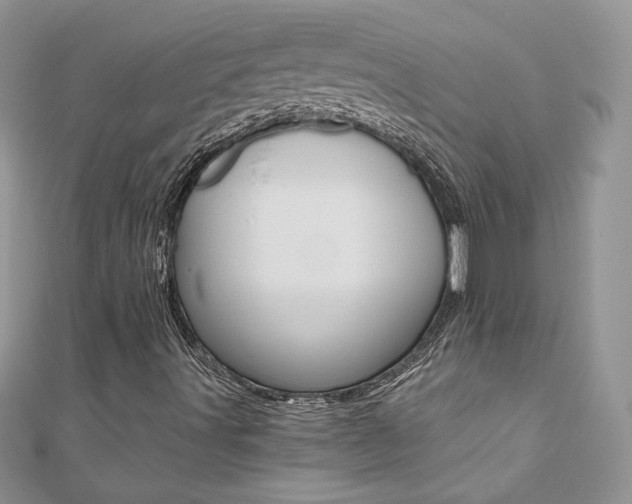 X0000110691491200906121044