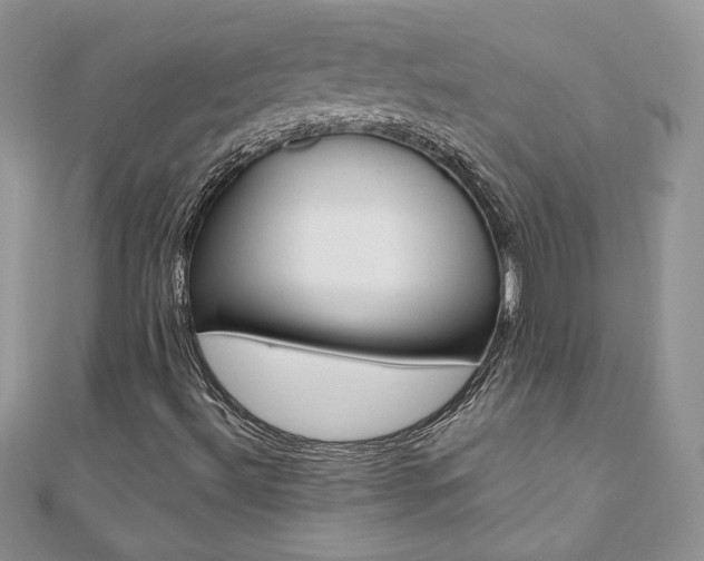 X0000110691492200906121044