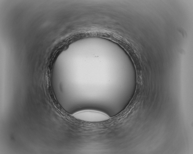 X0000110691493200906121044