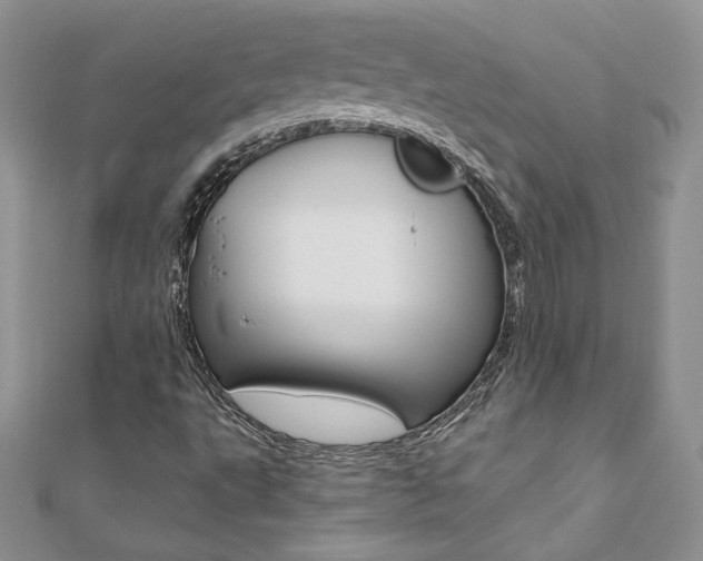 X0000110691495200906121044