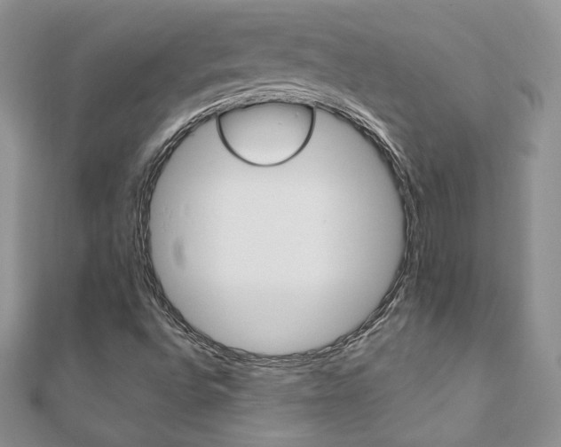 X0000110691496200906121045