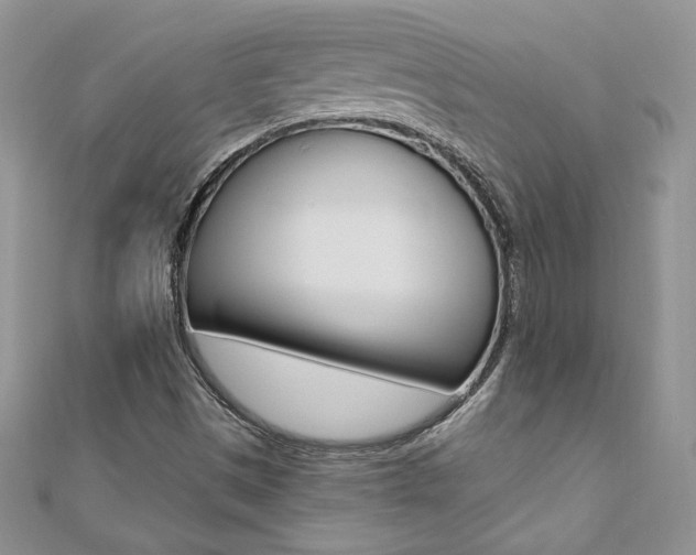 X0000110691497200906121045