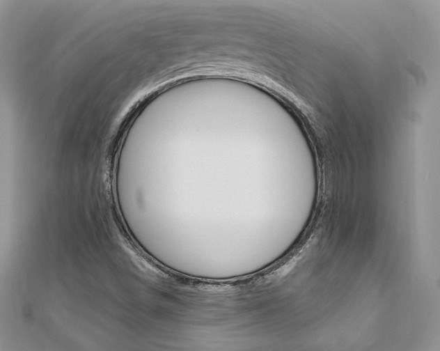 X0000110691498200906121045