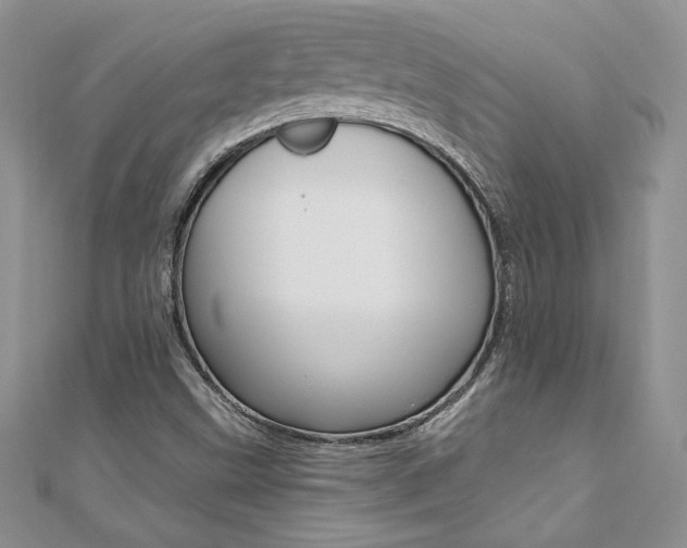 X0000110691499200906121045