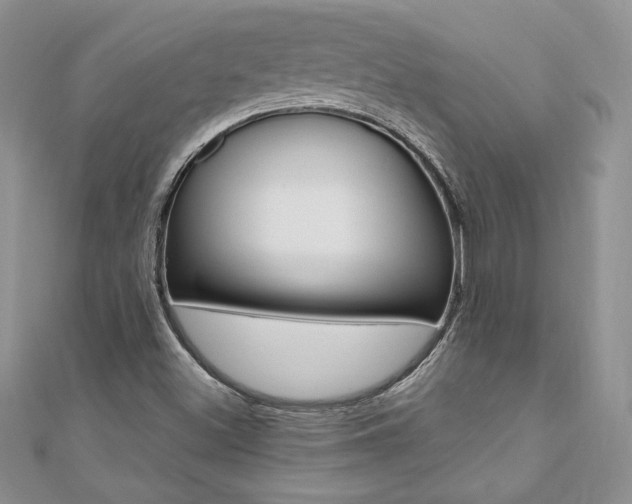 X0000110691500200906121045