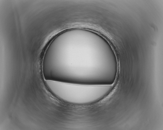 X0000110691501200906121045