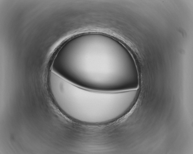 X0000110691502200906121045