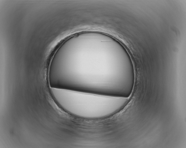 X0000110691503200906121045