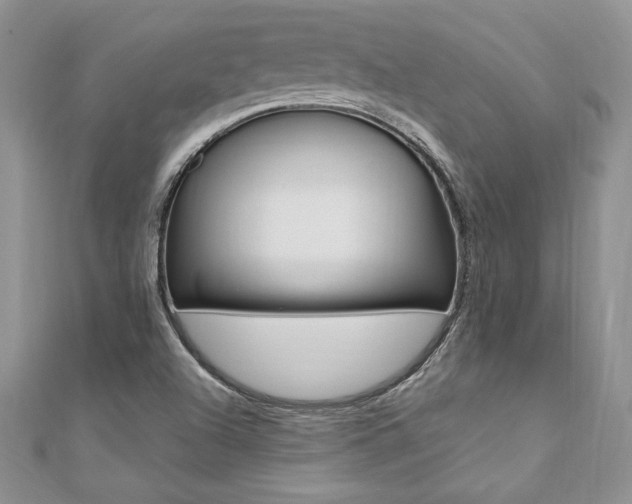 X0000110691504200906121045