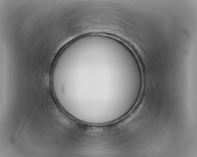 X0000110691505200906121045