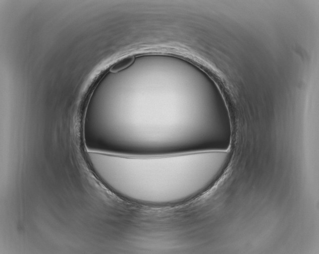 X0000110691506200906121045