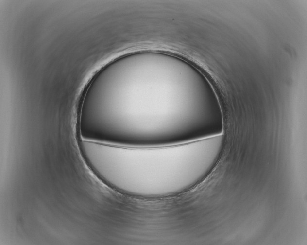 X0000110691508200906121045