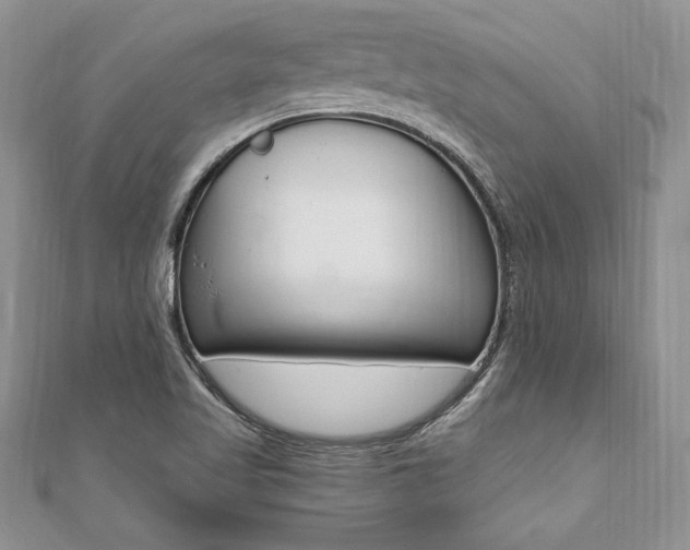 X0000110691509200906121045