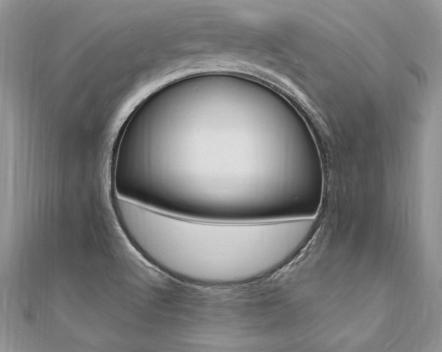 X0000110691512200906121045