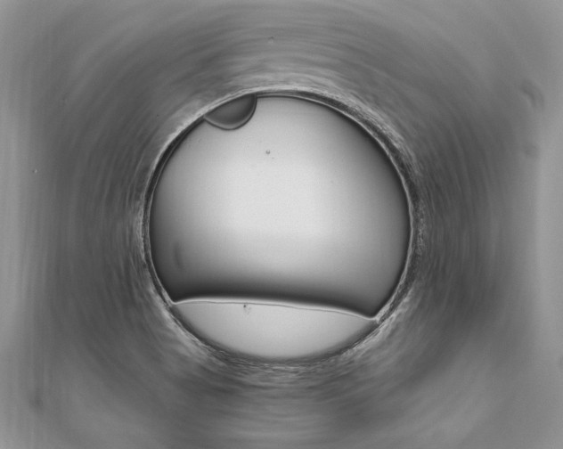 X0000110691513200906121045