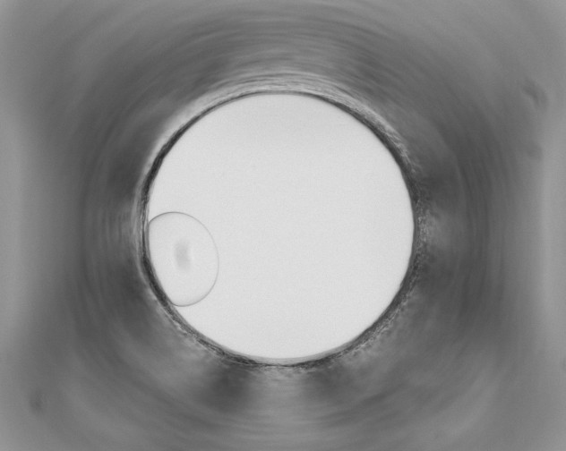 X0000110691514200906121045