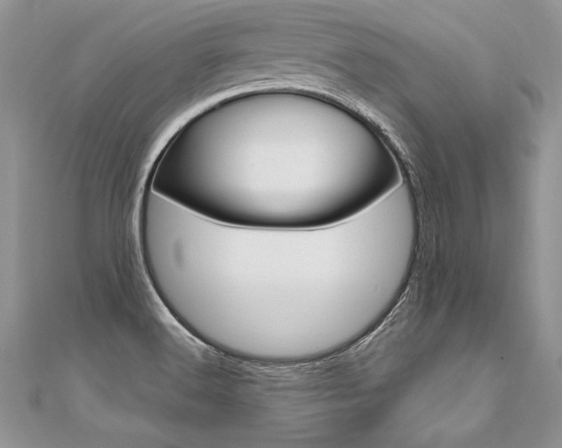 X0000110691516200906121045