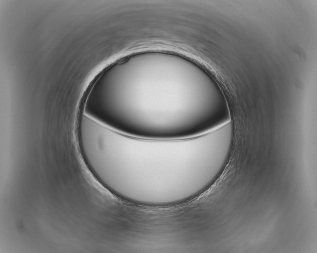 X0000110691518200906121045