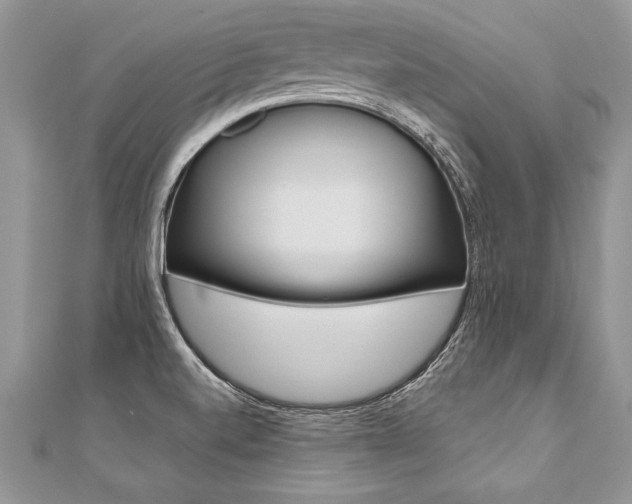 X0000110691520200906121045