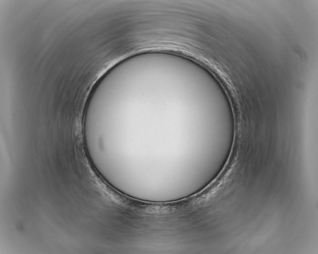 X0000110691521200906121045