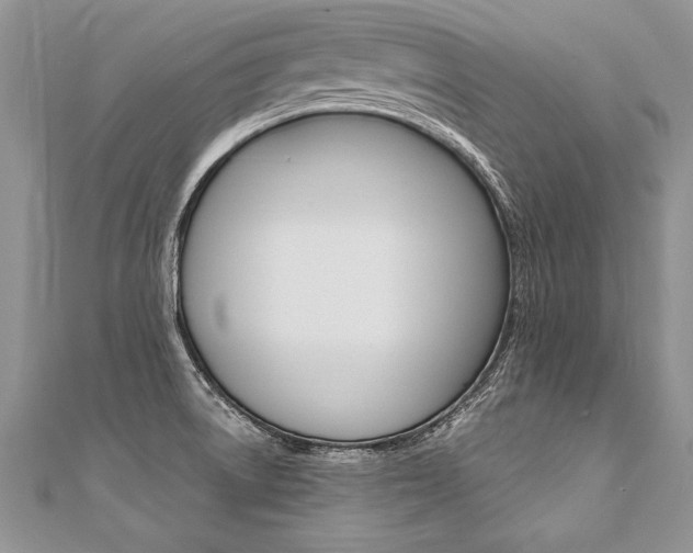 X0000110691522200906121045
