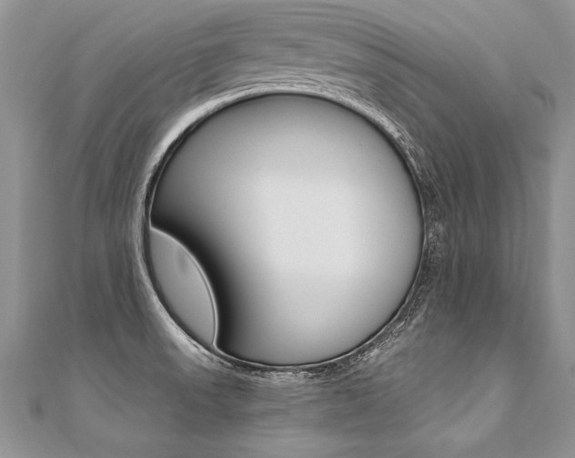 X0000110691523200906121045