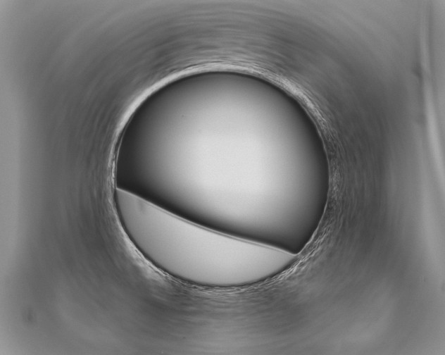 X0000110691524200906121045