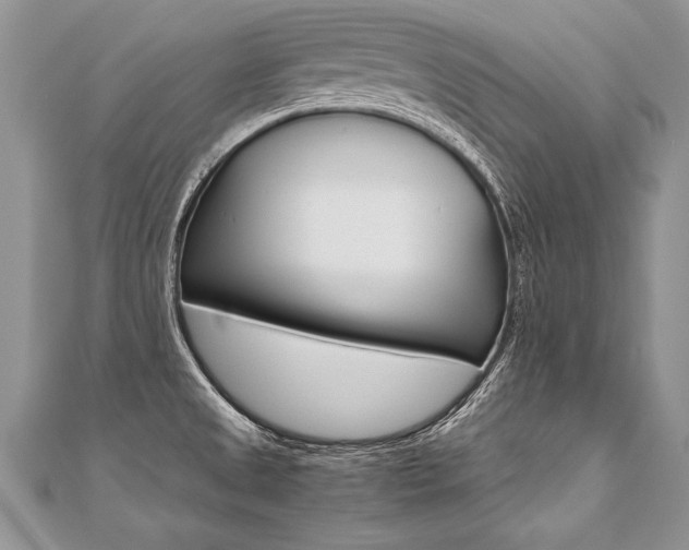 X0000110691525200906121045