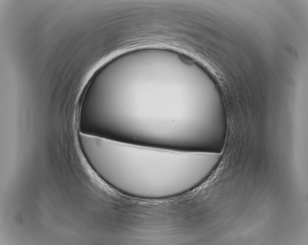 X0000110691526200906121045