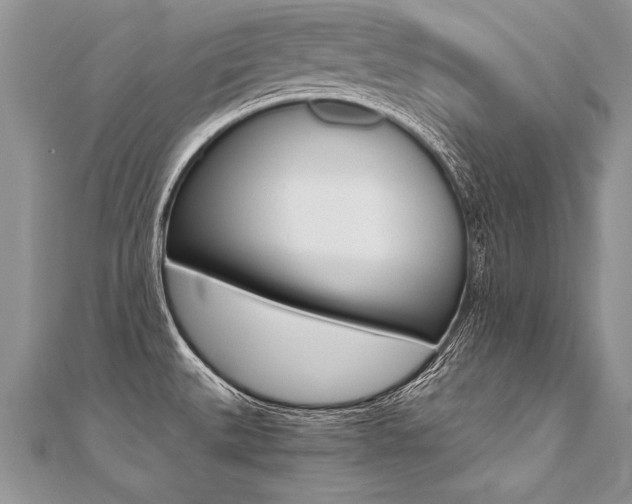 X0000110691527200906121045