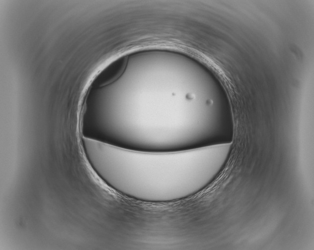 X0000110691528200906121045