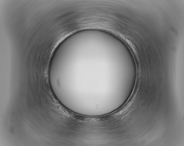X0000110691529200906121045