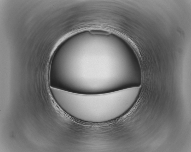 X0000110691530200906121045