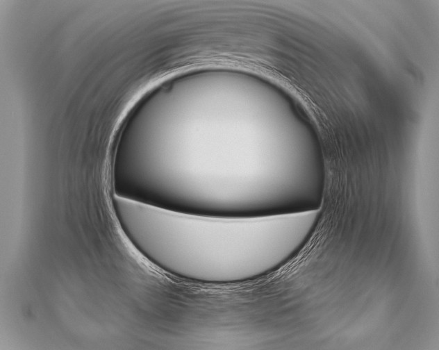 X0000110691531200906121045