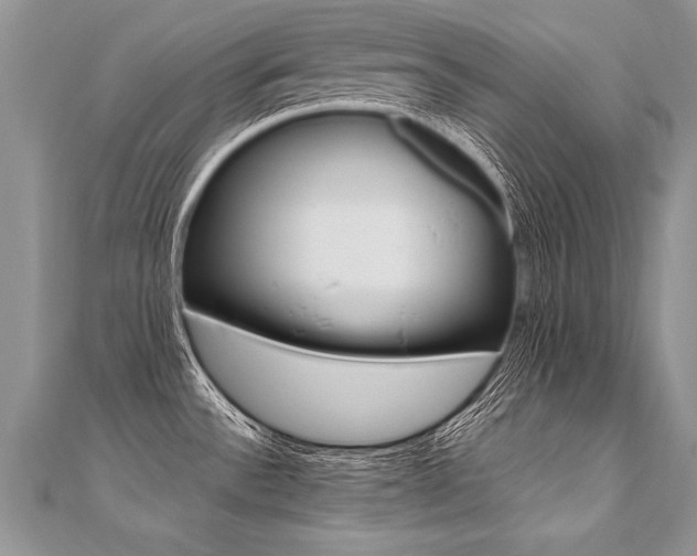 X0000110691532200906121045
