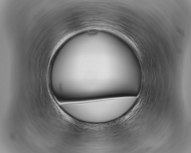 X0000110691533200906121045