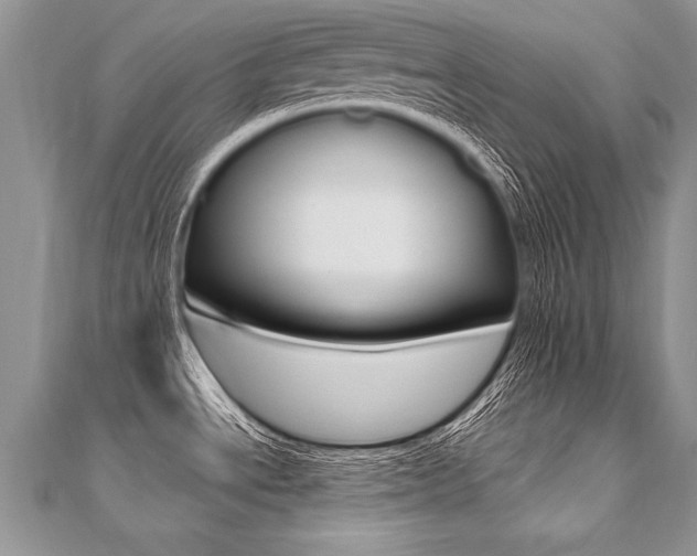 X0000110691534200906121045