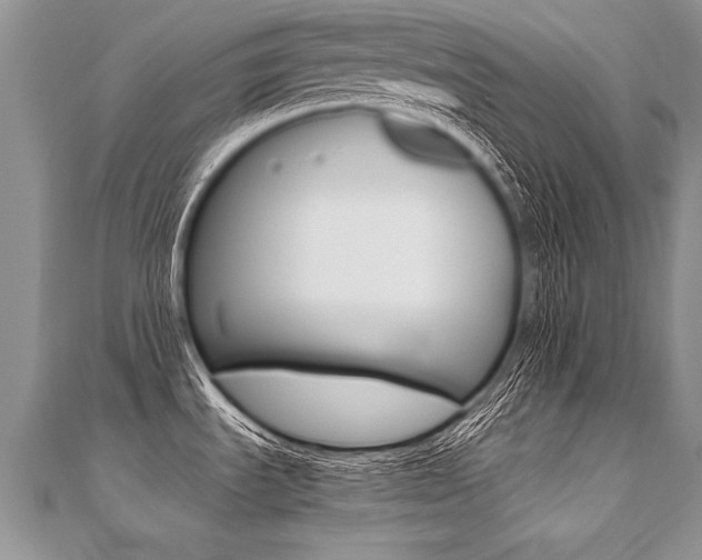 X0000110691535200906121045