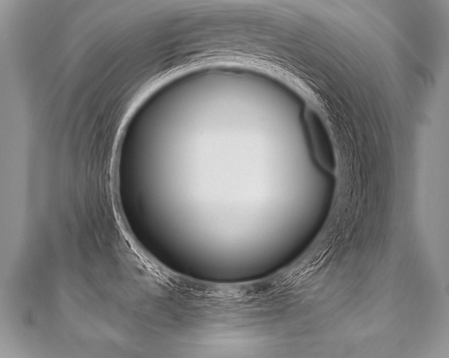 X0000110691536200906121045