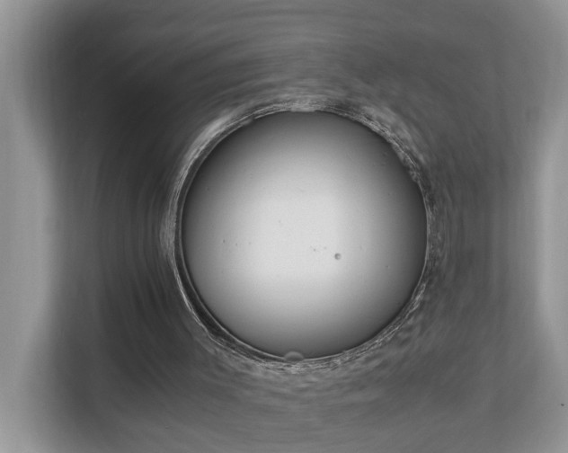 X0000110690003200906121235