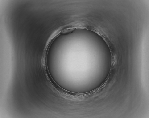 X0000110690004200906121235