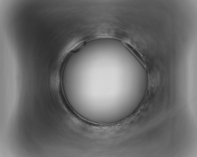 X0000110690005200906121235