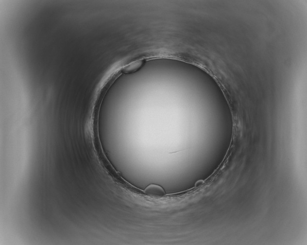 X0000110690006200906121235