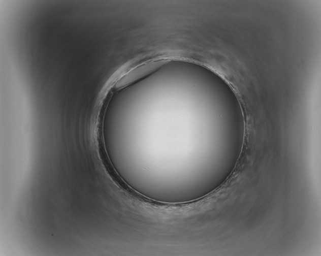 X0000110690007200906121235