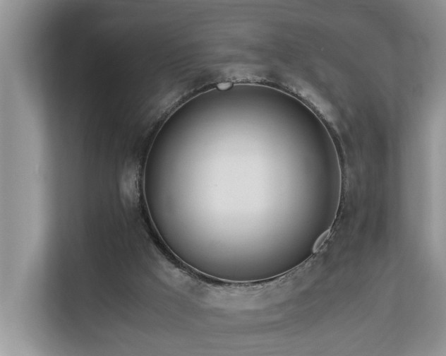 X0000110690009200906121235